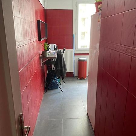 그르노블 Chambre Meublee Verte Boulevard Joseph Vallier 아파트 외부 사진